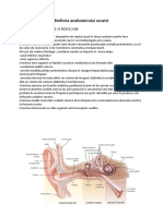 Biofizica Analizatorului Acustic: Notiuni de Anatomie Si Fiziologie