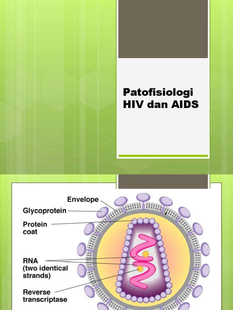 Patofisiologi HIV Dan AIDS | PDF | T Cell | Immunology