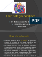 Sistema Cardiaco