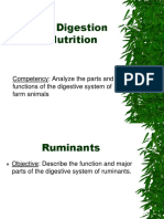Animal Digestion System PDF