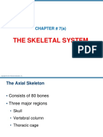 The Skeletal System: CHAPTER # 7 (A)