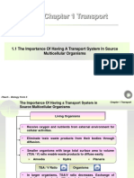 Chapter 1 Transport