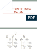 chairani - Telinga dalam