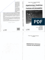 Organizaciones Fronterizas Fronteras Del Psicoanalisis