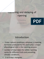 Hastening and Delaying of Ripening