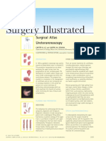 Ureterorenoscopy.pdf