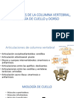 Articulaciones de La Columna Vertebral, Miología de Cuello Y Dorso