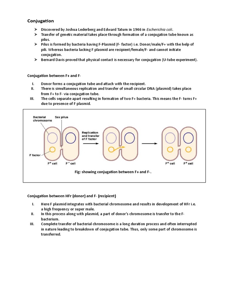 Bacterial Gene Transfer Methods | PDF | Plasmid | Transformation (Genetics)