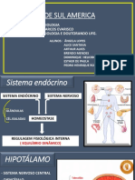 Sistema Endócrino