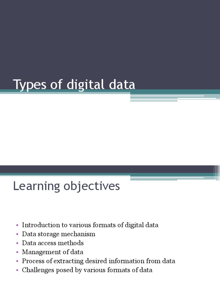 Classification of Digital Data Types | PDF | File Format | Data Model