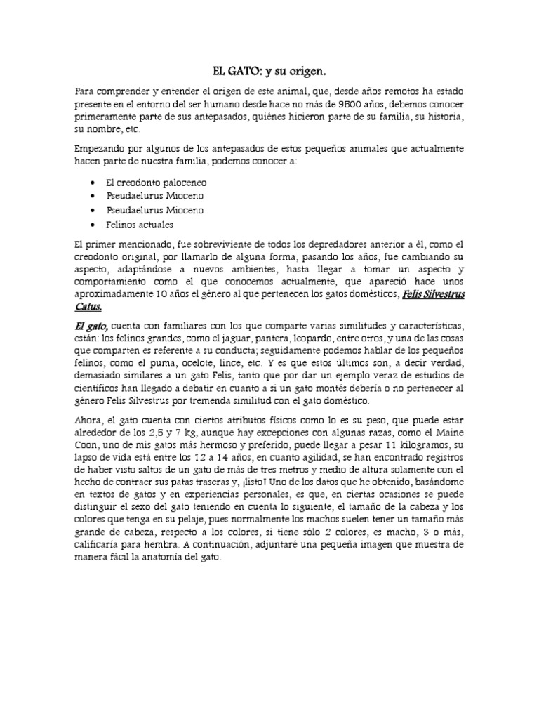 EL GATO, Ensayo | PDF | Felidae | Gatos