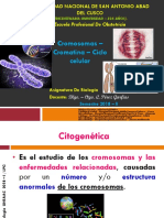 Clase Genetica.pdf