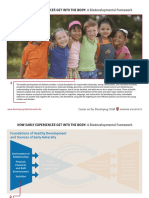 Biodevelopmental Framework