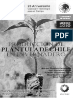 Produccion de Plantula de Chile en Invernadero