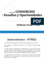 ppt.- Los Consorcios.pdf