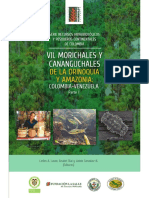 Manejo Actual de Mauritia Flexuosa para La Producción de Frutos en El Sur de La Amazonia Colombiana