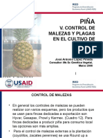 USAID RED 5 Piña Malezas Plagas 03 06