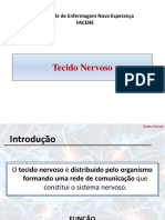 AULA Tecido Nervoso