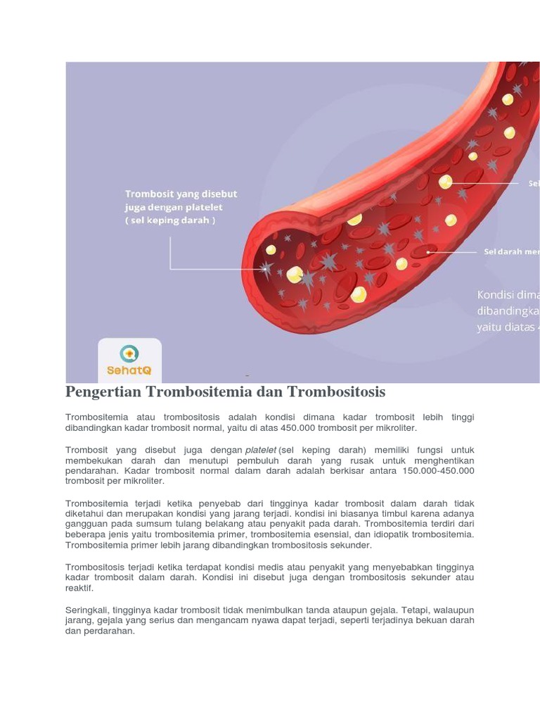 Trombositemia dan Trombositosis Penyebab, Gejala, Diagnosis dan
