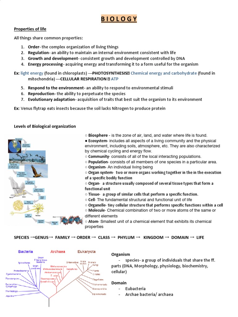 Key Concepts in Biology and Cell Structure | PDF | Meiosis | Mitosis