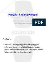 Penyakit Radang Panggul ppt.pdf