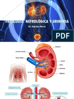 Patologia Nefrologica y Urinaria