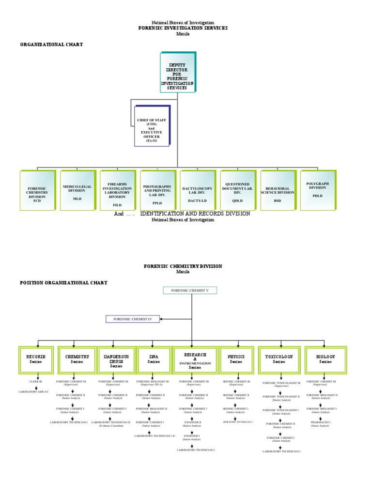 NBI Forensic Investigation Structure | PDF | Forensic Science | Forensics