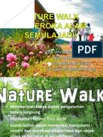 Nature Walk