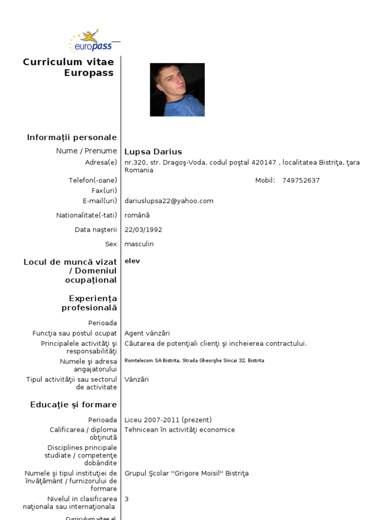 model-cv-curriculum-vitae-european-romana-pdf