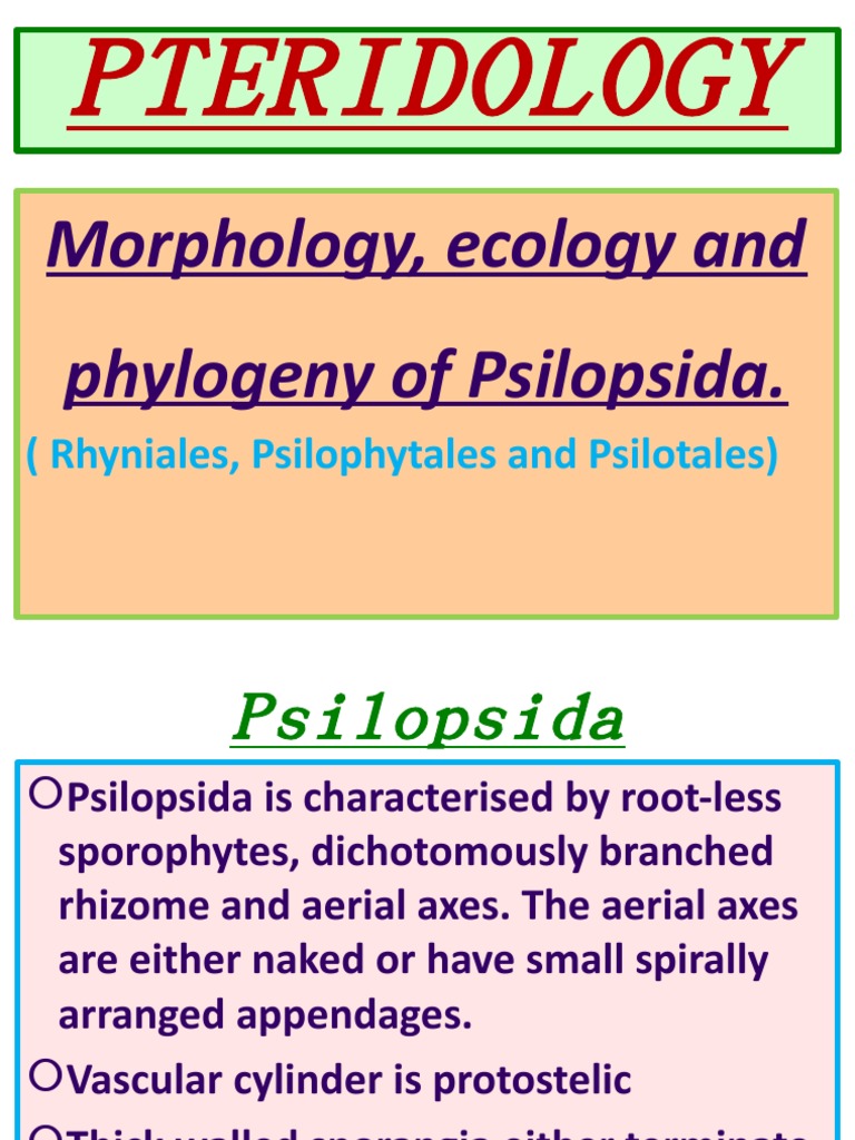PTERIDOLOGY | PDF | Plants | Horticulture And Gardening
