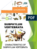 Characteristics of Subphylum Vertebrata