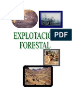 Explotacion Forestal