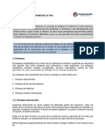 Enfoques de La TGS PDF