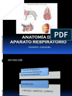 Anatomia de Aparato Respiratorio PDF