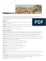 220462789-DEFINICION-Madera-Puro-Diseno-Industrial.pdf