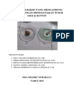 Observasi Bakso Yang Mengandung Boraks Dengan Menggunakan Tusuk Gigi & Kunyit