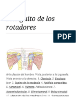 Manguito de Los Rotadores - Wikipedia, La Enciclopedia Libre PDF