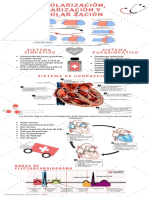 Despolarizacion Polarizacion y Repolarizacion