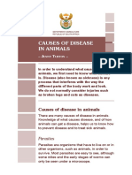 Animal Diseases PDF