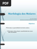 AULA 5 - Morfologia Dos Molares