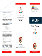 Instructivo CEAS Patria