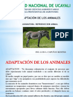 Adaptacion de Los Animales