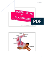 1_TEJ._EPITELIAL_Y_GLANDULAR_2013.pdf