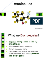Biomolecules Explained