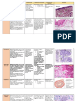 Histología Del Tubo Digestivo