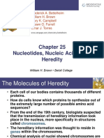 Nucleotides, Nucleic Acids, and Heredity