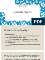 HMIS - Data Quality