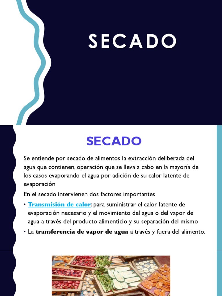 Secado de Alimentos: Métodos y Efectos | PDF | Las bacterias ...