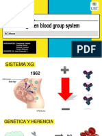 Sistema XG