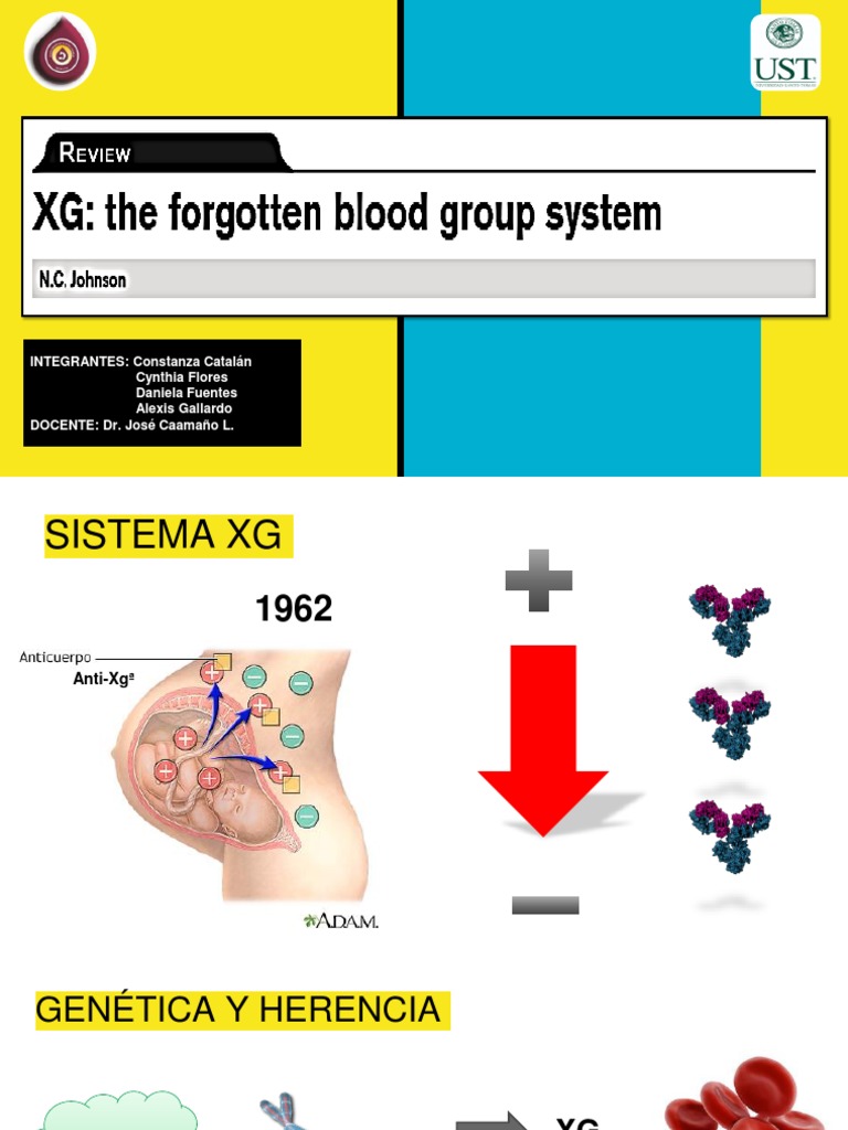 Sistema Xg Biomoleculas Anatomia
